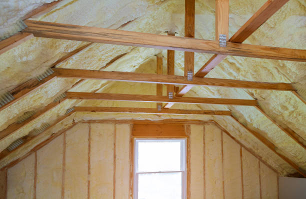 Best Spray Foam Insulation in Clio, MI