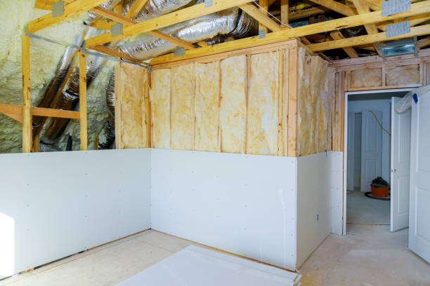 Best Energy Efficiency Insulation in Clio, MI