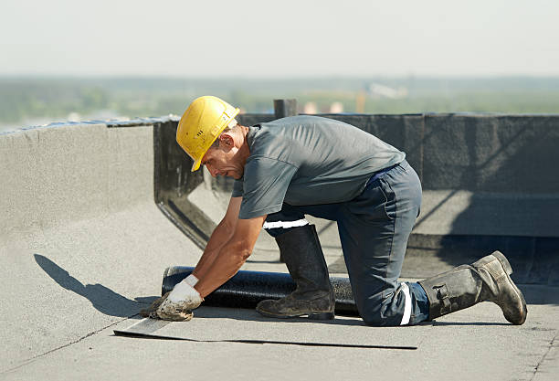 Best Commercial Insulation in Clio, MI