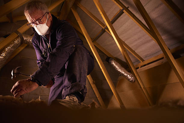 Types of Insulation We Offer in Clio, MI